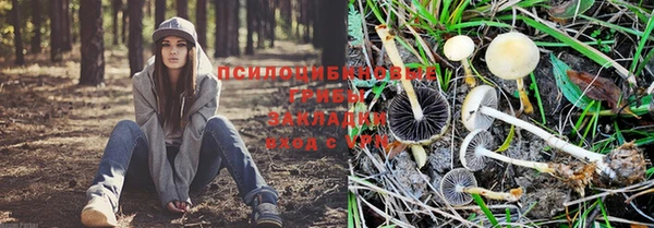 таблы Алексеевка