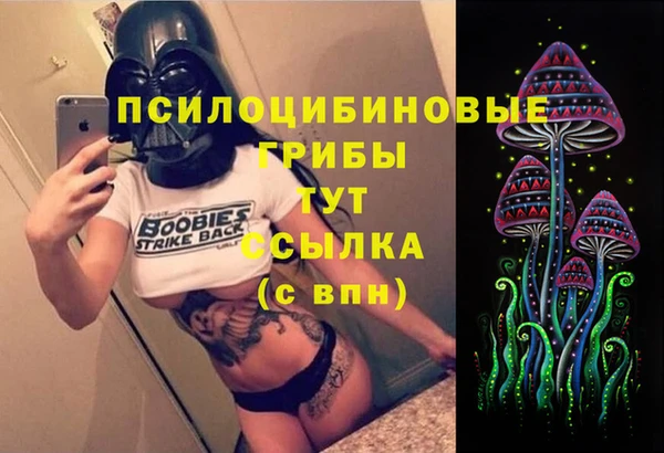 таблы Алексеевка
